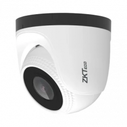 TEMID (ZKTeco) ES-854N22B-S7 (3.6) Видеокамера IP