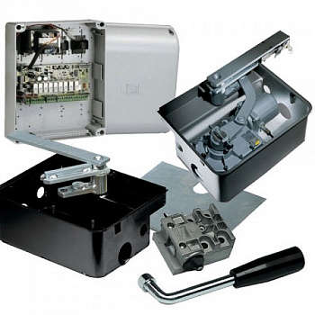 CAME FROG KIT Комплект автоматики для распашных ворот CAME FROG KIT Комплект автоматики для распашных ворот