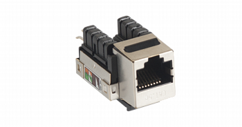 NETLAN EC-UKJ-SD2-MT-10 Модуль-вставка типа Keystone