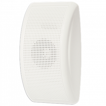 Tantos TSo-SW10DF Громкоговоритель