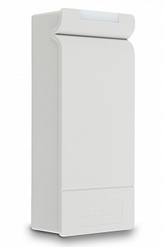 Считыватель RusGuard R10-EHT (Gray)