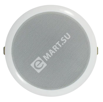 Tantos TSo-PW10a Громкоговоритель потолочный