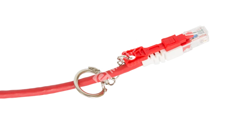 xa8smix1gdcljz4dd3mtj4p409qatdwr