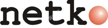 Netko Дверь для шкафа T2, TS глубиной 1000 боковая 47U серая