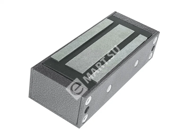 TS-ML300_silver antic (1)