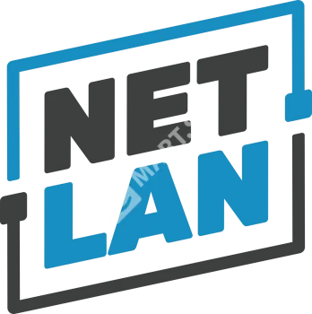 NETLAN EC-FS-246050-M-MM-GY Напольный антивандальный шкаф